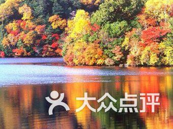 卑鄙的小妖精